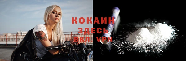 шишки Абдулино