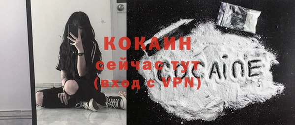 шишки Абдулино