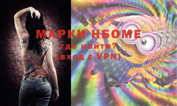 хмурый Сосновый Бор