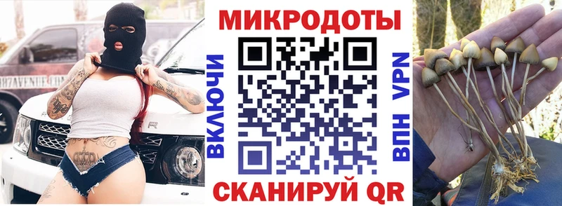 kraken зеркало  Истра  Псилоцибиновые грибы GOLDEN TEACHER 